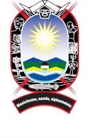 Buffalo City Metropolitan Municipality logo